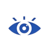 vision